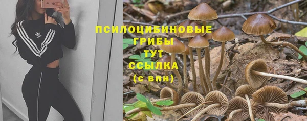 соль курить ск Беломорск