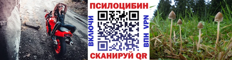 Псилоцибиновые грибы прущие грибы  MEGA tor  Ессентукская  как найти наркотики 