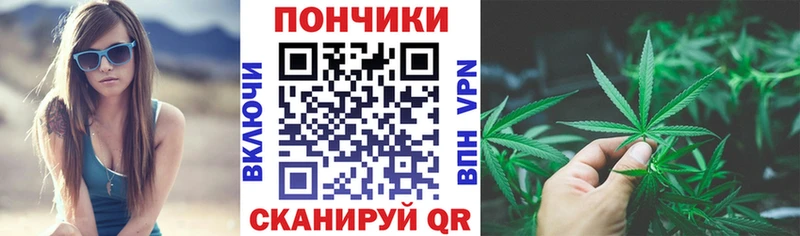 mega ТОР  Ессентукская  Бошки марихуана сатива 